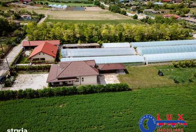 Casă cu 6 camere cu Teren 2000 Mp în Valea Nucarilor - 20
