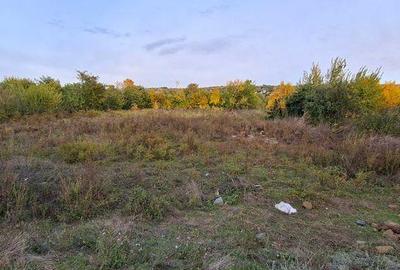 Teren de 2400 mp, în Peceneaga