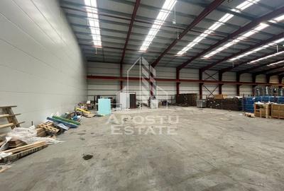 Spațiu industrial, de 600 mp, în Săcălaz - 4