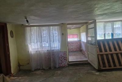 Casă cu Teren 3000 Mp în Dăeni - 2