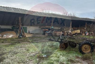 Casă cu 3 camere cu Teren 2298 Mp în Livada - 1