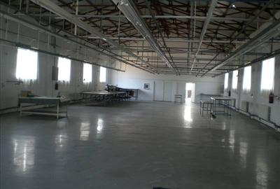 Spațiu industrial, de 1,000 mp, în Exterior Sud
