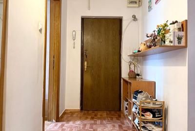 Apartament cu 3 camere decomandat în Lujerului - 18