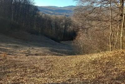 Teren de 5347 mp, în Runcu - 5