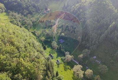 Teren agricol extravilan de 38704 mp, în Șirnea - 2