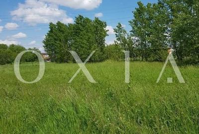Teren Construcții intravilan de 2400 mp, în Giroc - 1