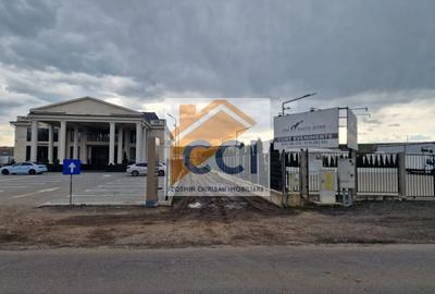 Teren agricol intravilan de 10000 mp, în Vest - 16