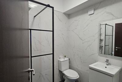 Apartament cu 3 camere decomandat, mobilat în Valea Oltului - 4