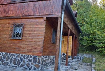 Teren de 34500 mp, în Băile Chirui - 10