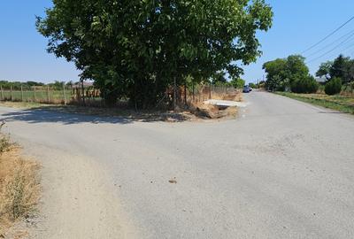 Teren Construcții intravilan de 5465 mp, în Topraisar - 13