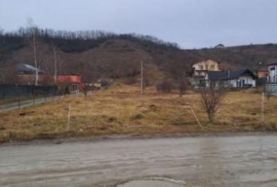 Teren Construcții intravilan de 6873 mp, în Apahida - 1