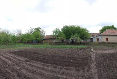 Casă cu 3 camere în Traian - 3