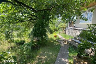 Casă cu 2 camere cu Teren 9500 Mp în Darova - 5