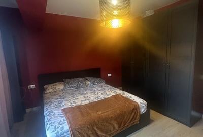 Apartament cu 2 camere decomandat în Tunari - 13