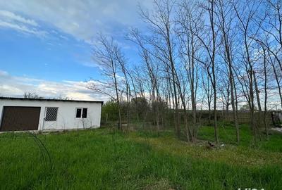 Teren de 1800 mp, în Dumitrești - 3