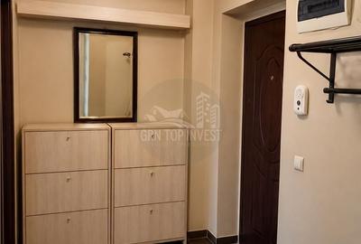 Apartament cu 2 camere semidecomandat, mobilat în Terezian - 5