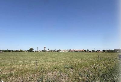 Teren de 4611 mp, în Leș