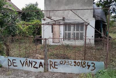 Casă cu Teren 800 Mp în Lunca Mureșului
