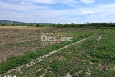 Teren de 5800 mp, în Mărăcineni - 2