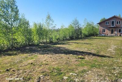 Casă cu Teren 1000 Mp în Central - 3