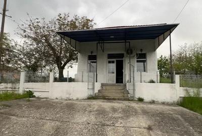 Casă cu 3 camere cu Teren 4000 Mp în Mihăești - 1