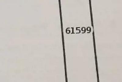 Teren de 4888 mp, în Grajduri - 1