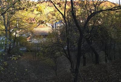 Teren de 3788 mp, în Costești - 9