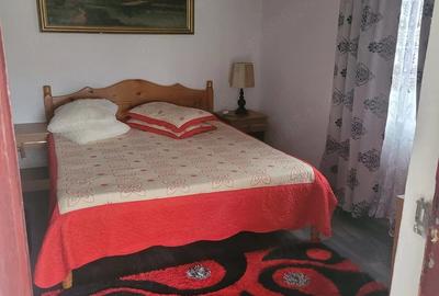 Casă cu Teren 2536 Mp în Peșteana-Jiu - 7