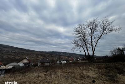 Teren de 480 mp, în Central - 2
