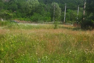 Teren de 1081 mp, în Malaia - 7
