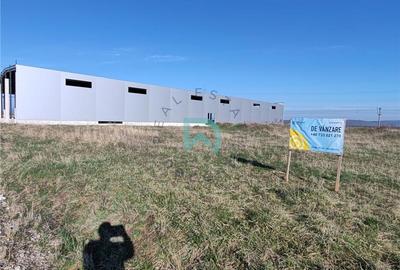 Teren Construcții intravilan de 7700 mp, în Prejmer - 1