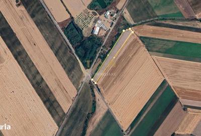 Spațiu comercial, în Șag - 3