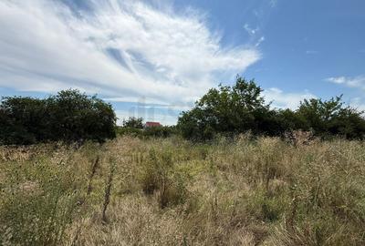 REL4001178 Teren I De Vanzare I Domnesti - 4