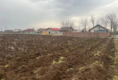 Teren de 2000 mp, în Vasile Alecsandri - 9