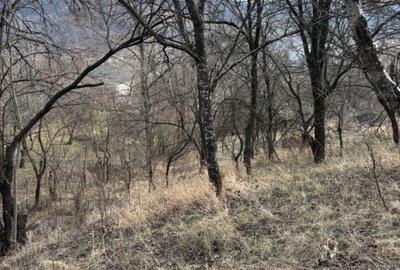 Spațiu comercial, în Central - 2