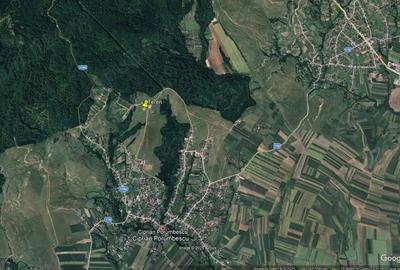 Teren de 1000 mp, în Ciprian Porumbescu - 2