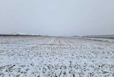 Teren Construcții intravilan de 20000 mp, în Stupini - 2