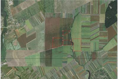 Teren agricol extravilan de 492108 mp, în Brănești - 2