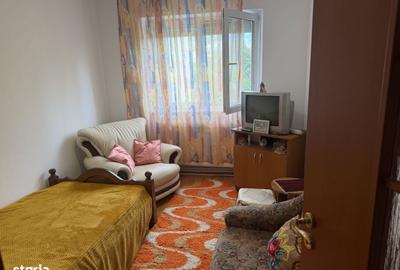 Apartament cu 2 camere în Botizului - 2