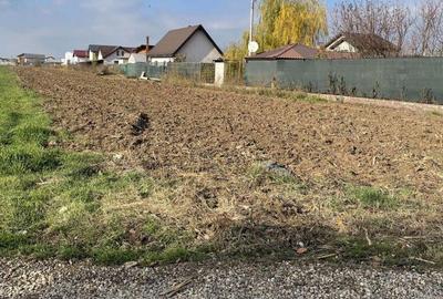 Teren de 1800 mp, în Sud