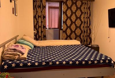 Pantelimon, Mega Mall - 11