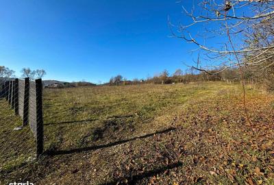 Spațiu comercial, în Cerbu