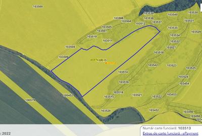 Teren agricol extravilan de 49900 mp, în Șeica Mică - 1