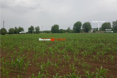 Teren de 43500 mp, în Sud - 6