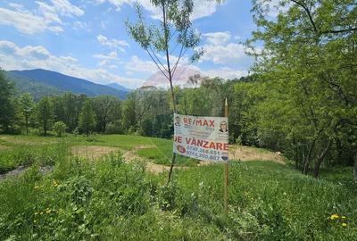 Teren Construcții intravilan de 2910 mp, în Chirițeni - 26