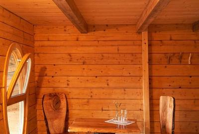 Casă cu 4 camere cu Teren 62000 Mp în Horea - 18