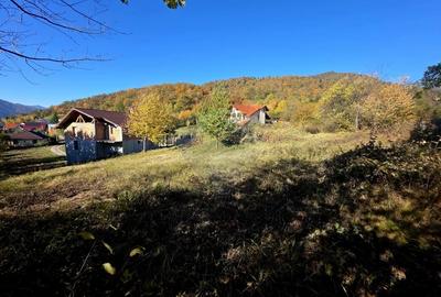 Casă individuală cu 5 camere cu Teren 2700 Mp în Alexandru cel Bun - 17