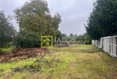 Teren intravilan Zona SUD, strada Agudului, Bacau - 3