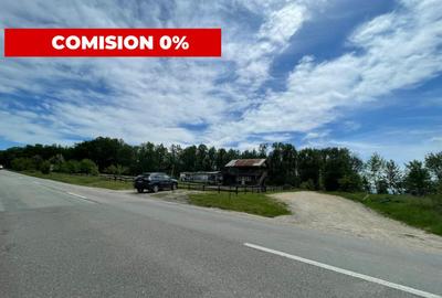 Teren *oportunitate investi?ie* in Carbune?ti-Sat - 3