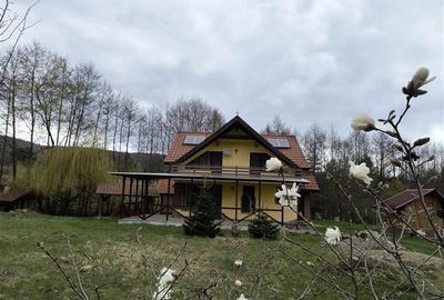 Oportunitate! Casa deosebita cu 2980 mp teren in Vulcan, Brasov - 43